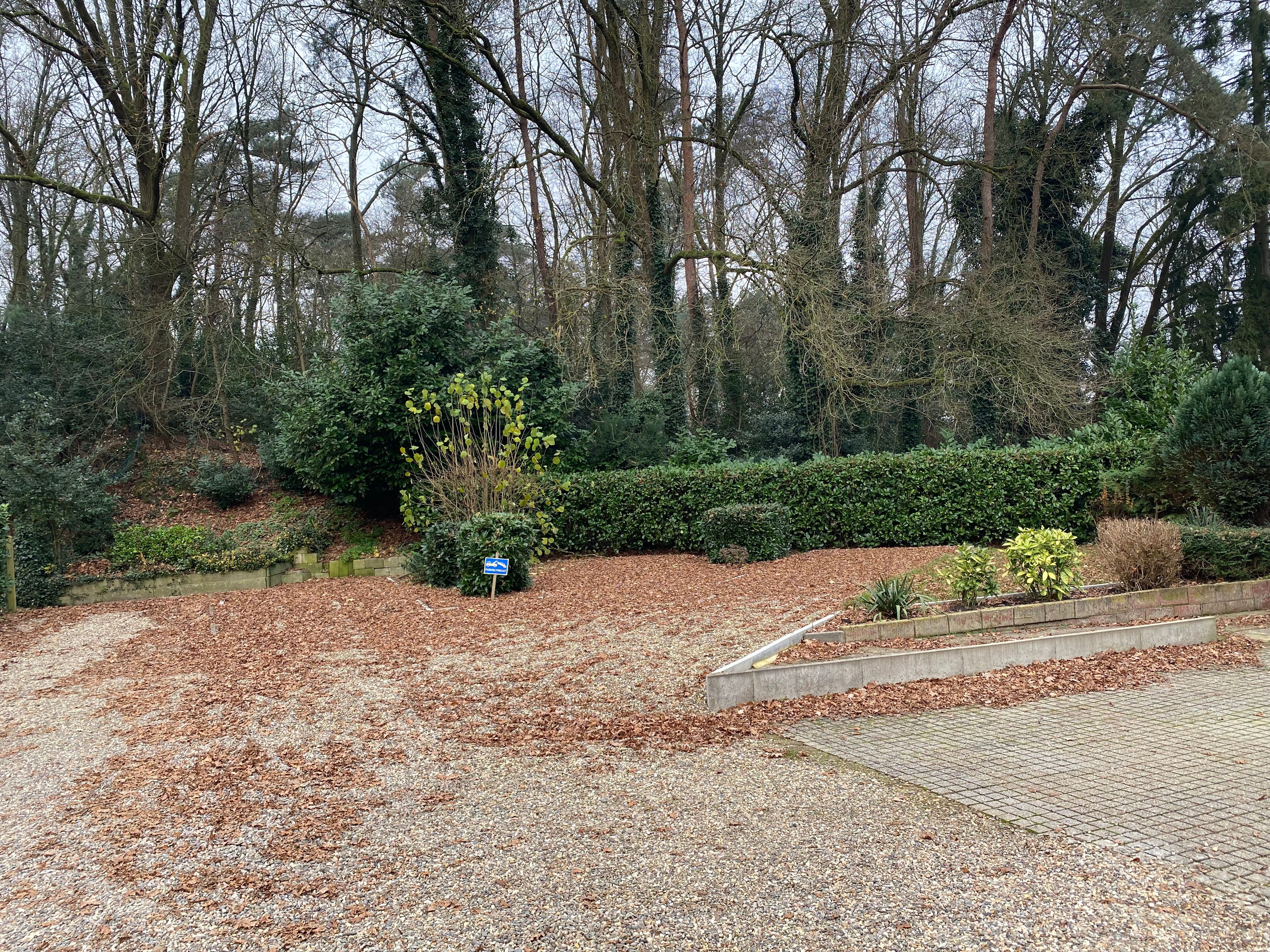 Genk, Nieuwe Kuilenweg 57 - Opbrengsteigendom bestaande uit 2 appartementen, 1 studio, 2 garages, 4 autostaanplaatsen en tuin. foto 3