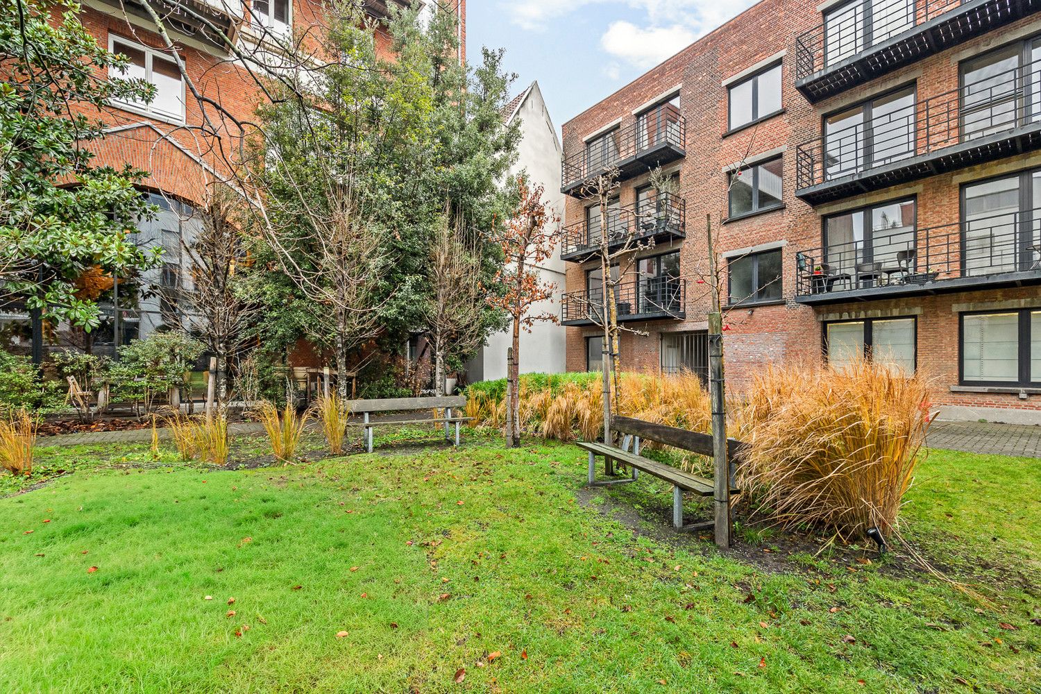 Groen en energiezuinig wonen in alle rust in hartje Antwerpen aan de befaamde Academie foto 17