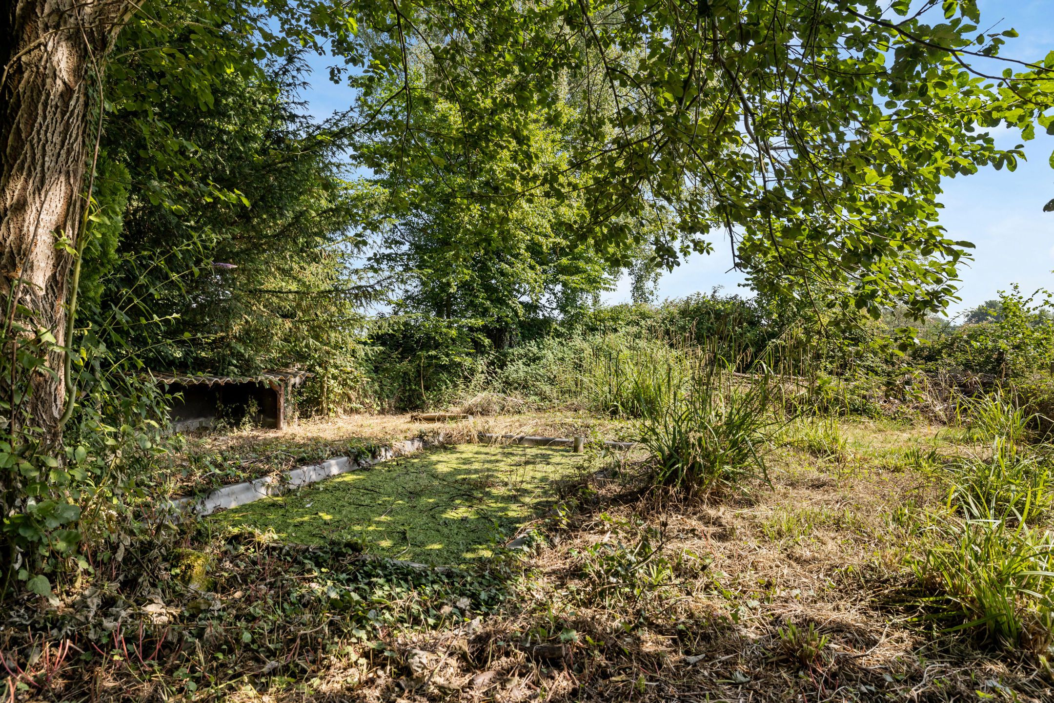 Zeer aangename en charmante woning te Lettelingen foto 23