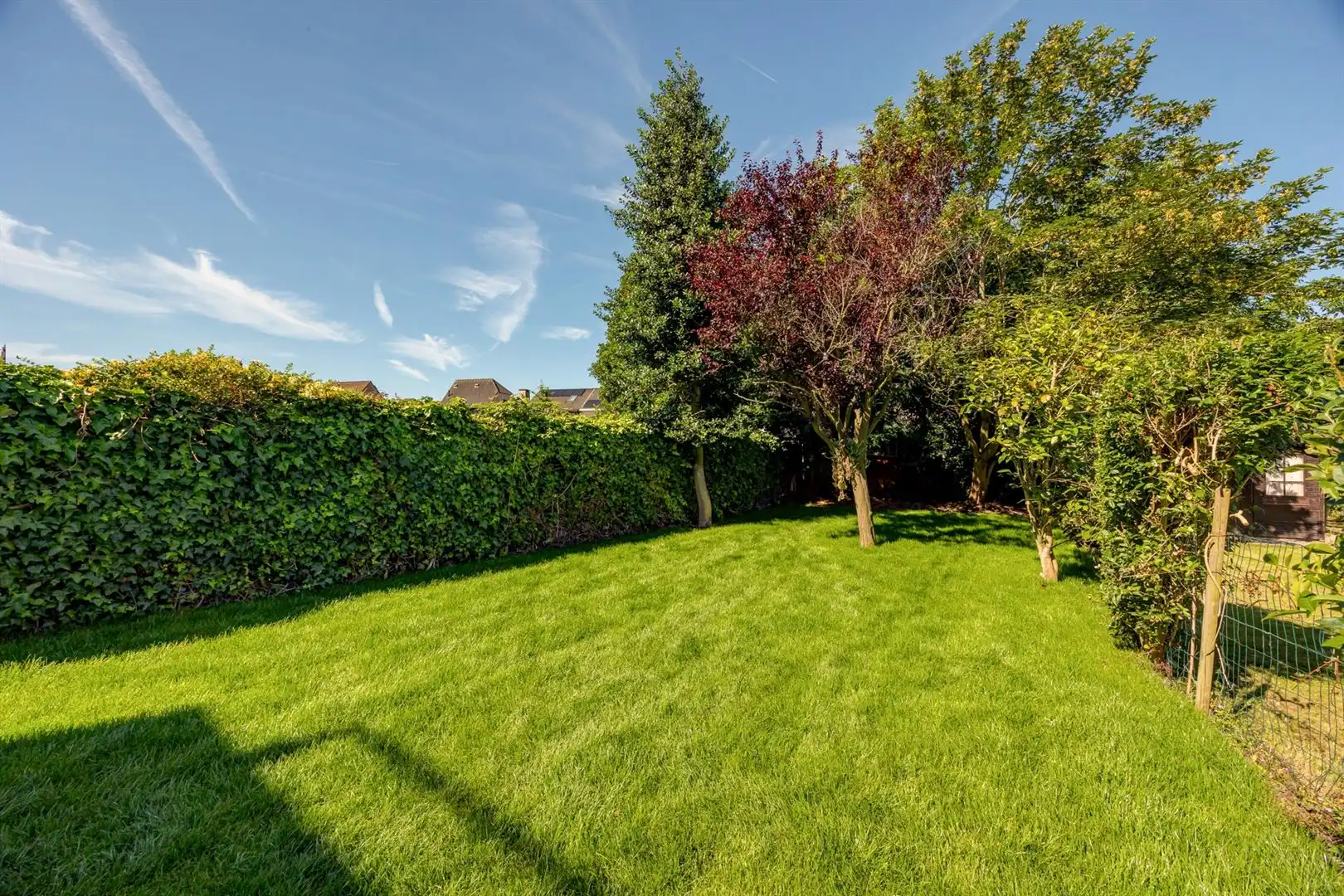 Gerenoveerd gelijkvloers met zonnige tuin foto 4