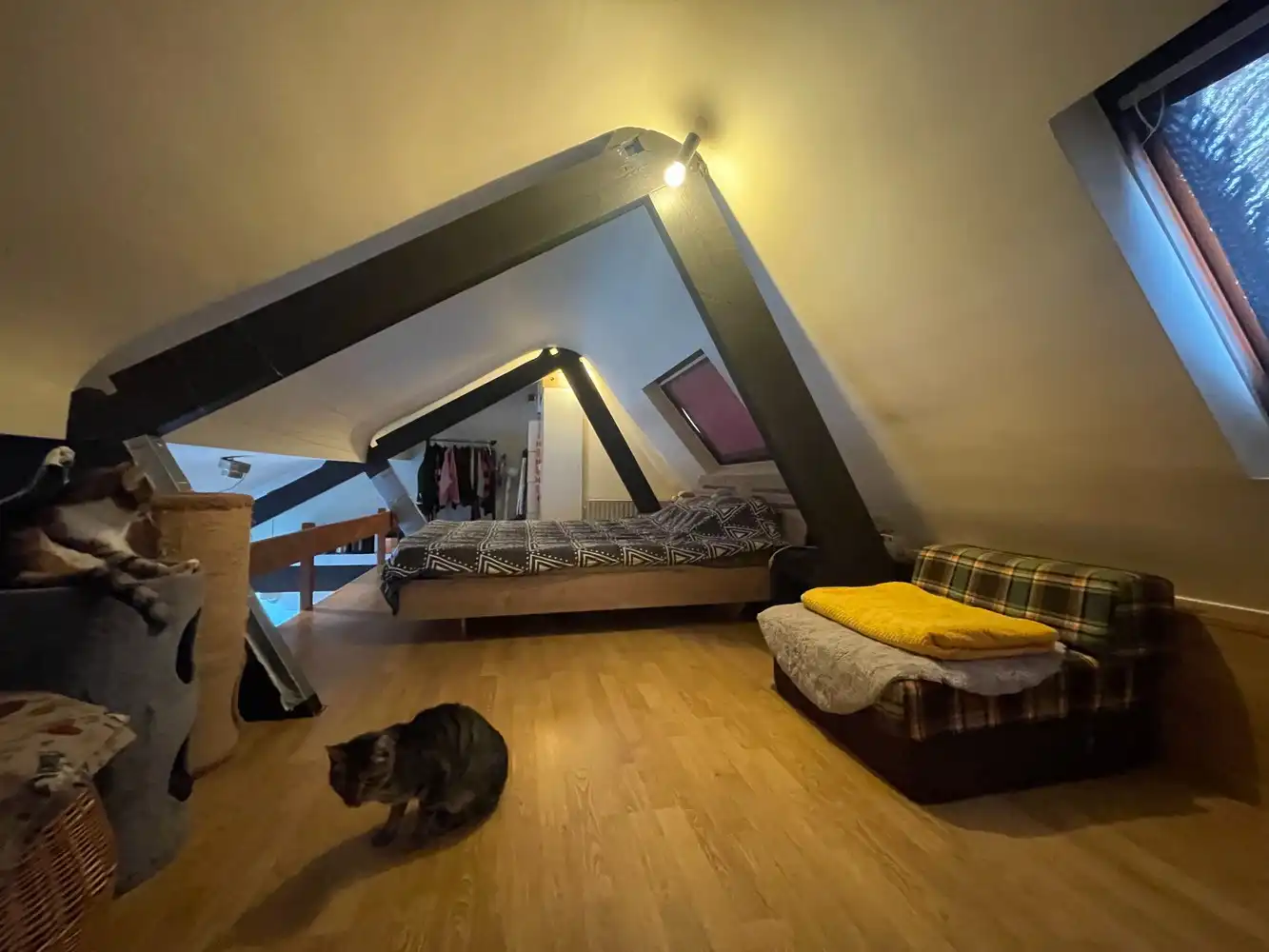 Brugge centrum, OPBRENGSTEIGENDOM bestaande uit  een MAGAZIJN op het gelijkvloers,  een STUDIO op de 1é Verd,  DUPLEX  LOFT STUDIO ONDER HET DAK ALLES VERHUURD MOOIE OPBRENGST foto 9