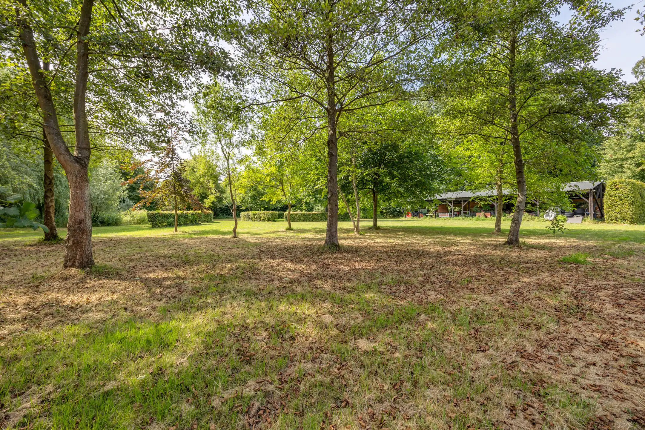 SINT-KATELIJNE-WAVER - Kasteelvilla met gastenverblijf, siertuin en boomgaard foto 24