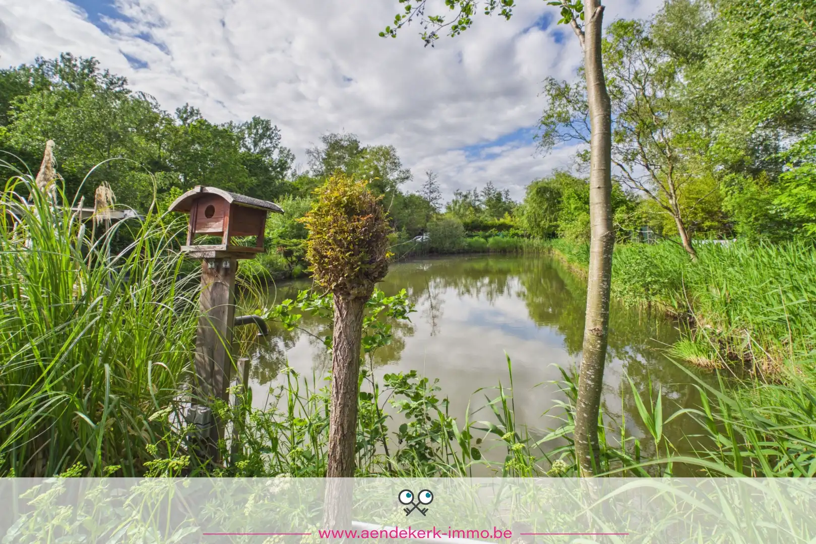 Bijzondere recreatie-eigendom met vijver en bemeubelde chalet te Maaseik foto 18