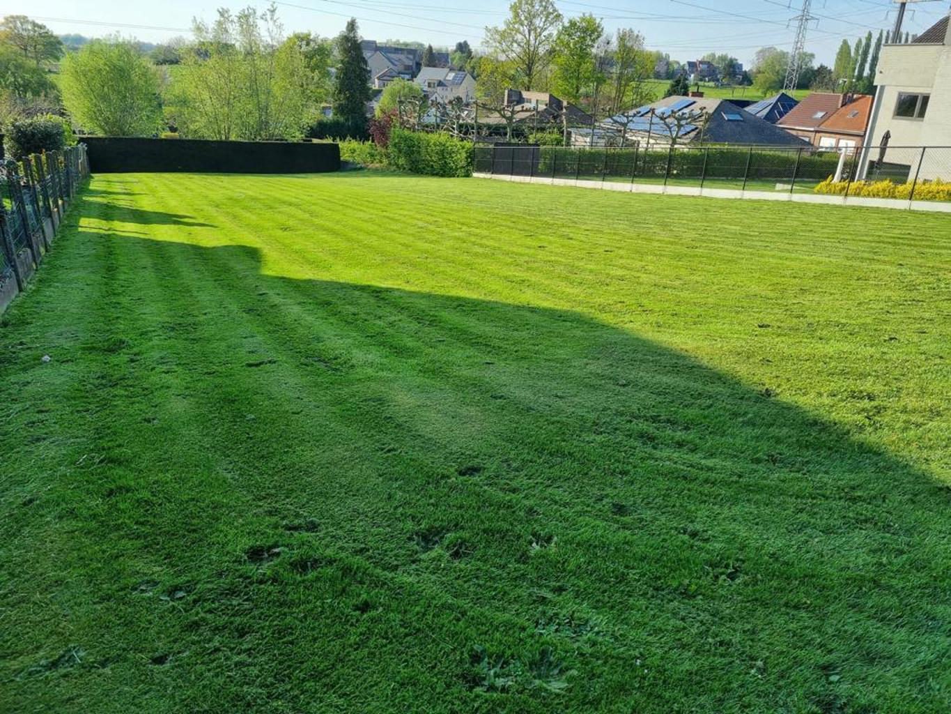 immo David stelt u deze prachtige Zuidwest gerichte bouwgrond voor van 5a75ca voor de constructie van een halfopen bebouwing te Bekkerzeel. foto 3