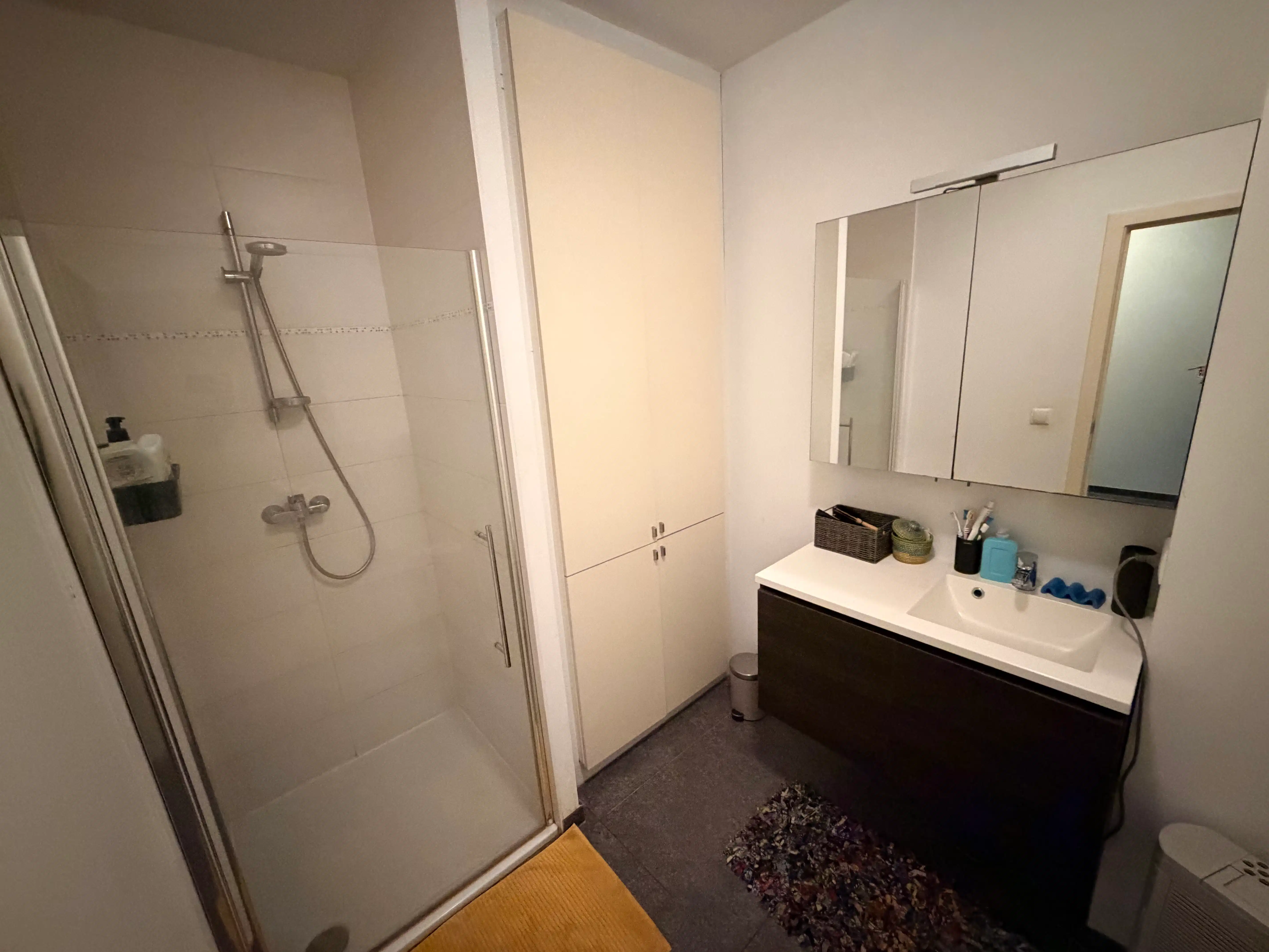 --- NIEUW --- Gezellig gelijkvloers appartement met 2 slaapkamers en terras op wandelafstand van het historisch centrum. foto 9