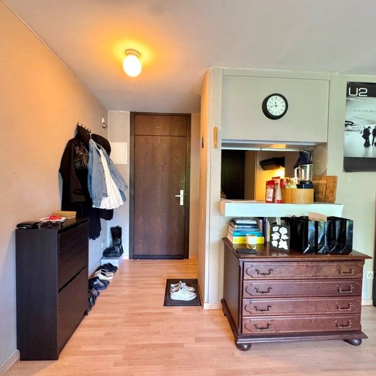 Ruime en energiezuinige studio met zicht op Citadelpark foto 4