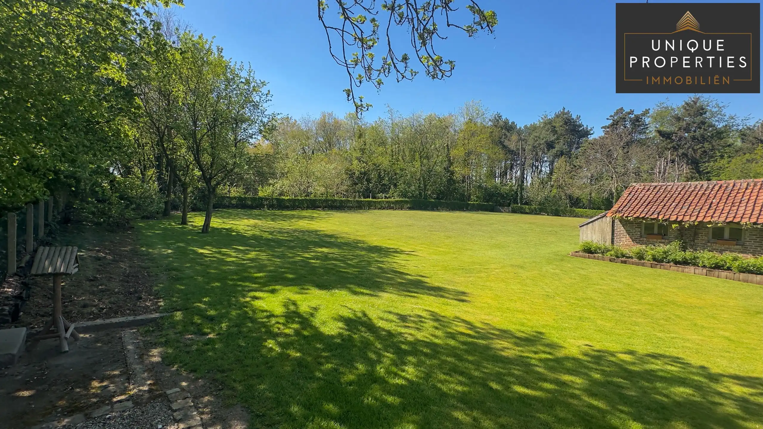 Boerderij te koop foto 9