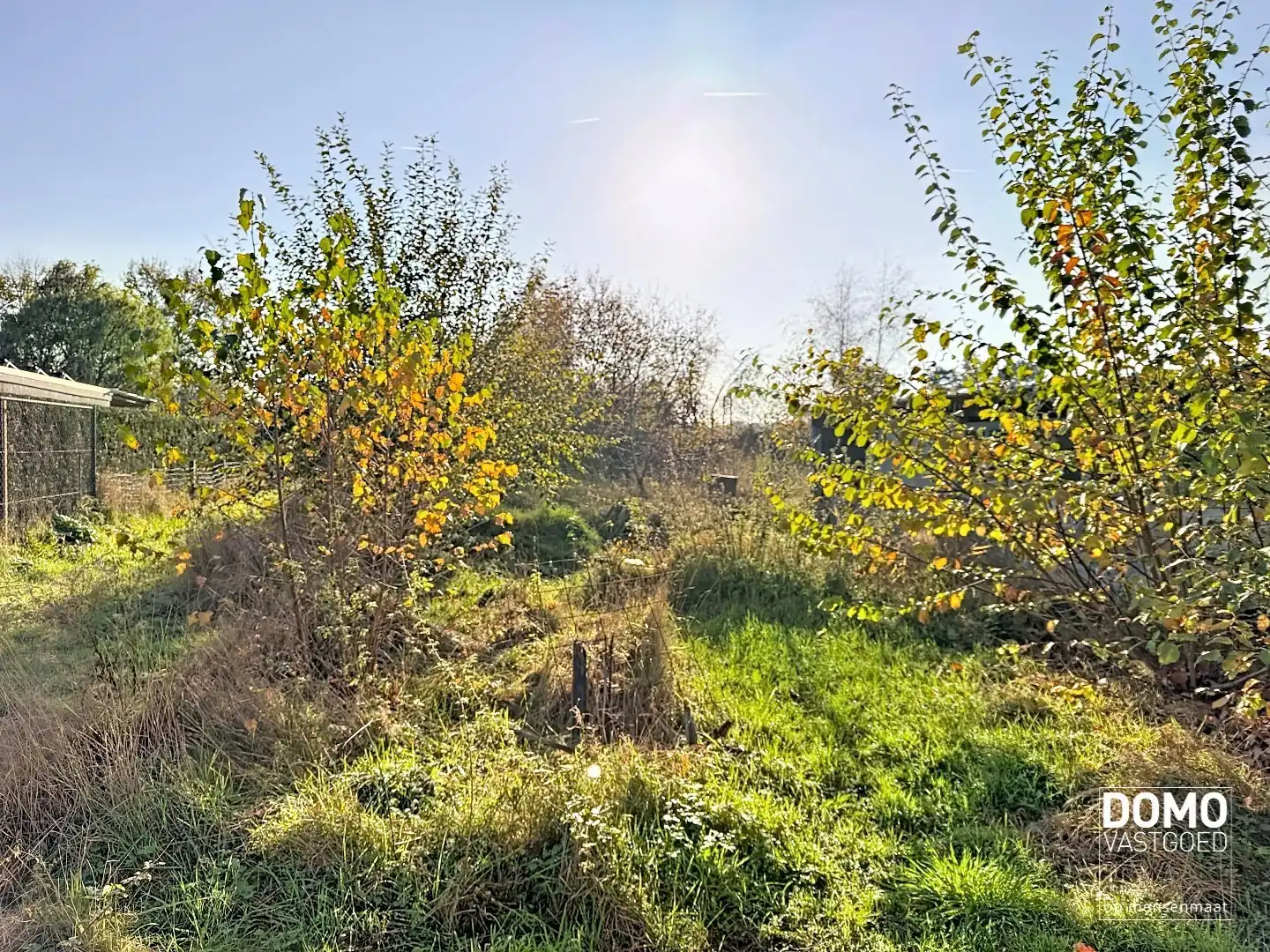 Ruime open bebouwing gelegen te Schulen met tal van mogelijkheden  foto 8
