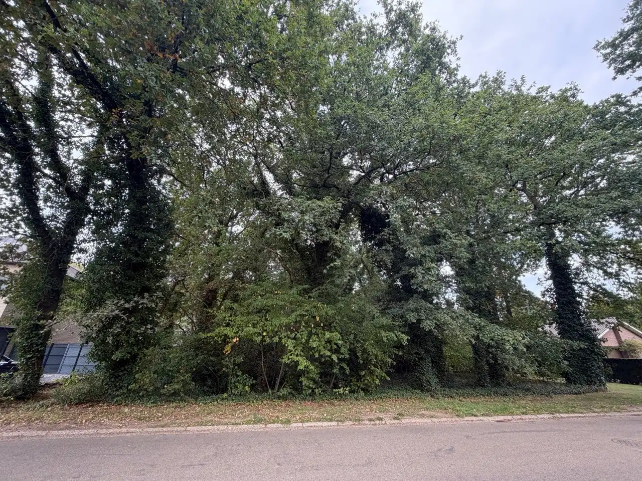 Genk, Brentjesstraat 17 - 19: 2 ruime bouwgronden in een rustige omgeving voor halfopen bebouwing foto 2