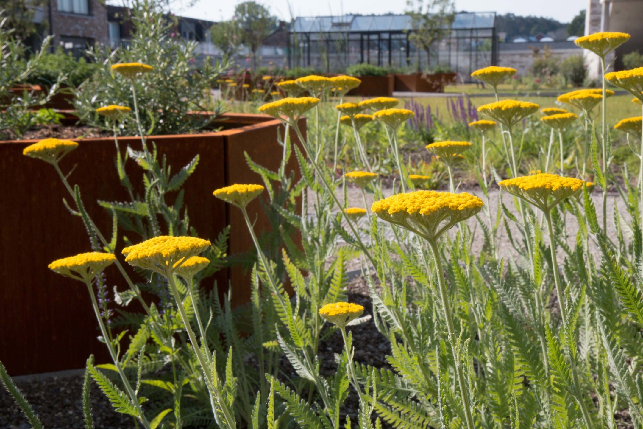 Nieuwbouwappartement - terras met zicht op tuin foto 19