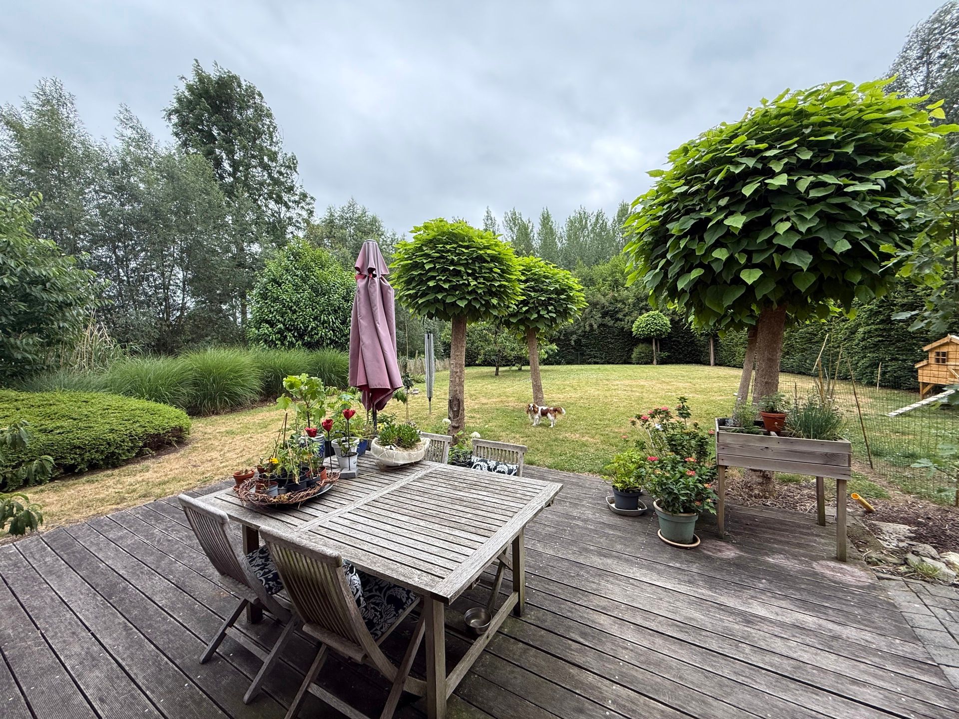 BAMBRUGGE - Uitzonderlijke villa met grote tuin. foto 19
