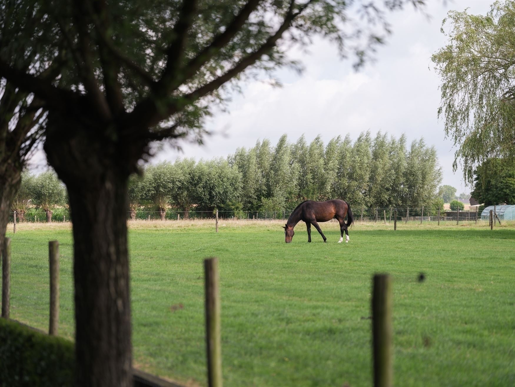 Romantisch landhuis met paardenstallen foto 27