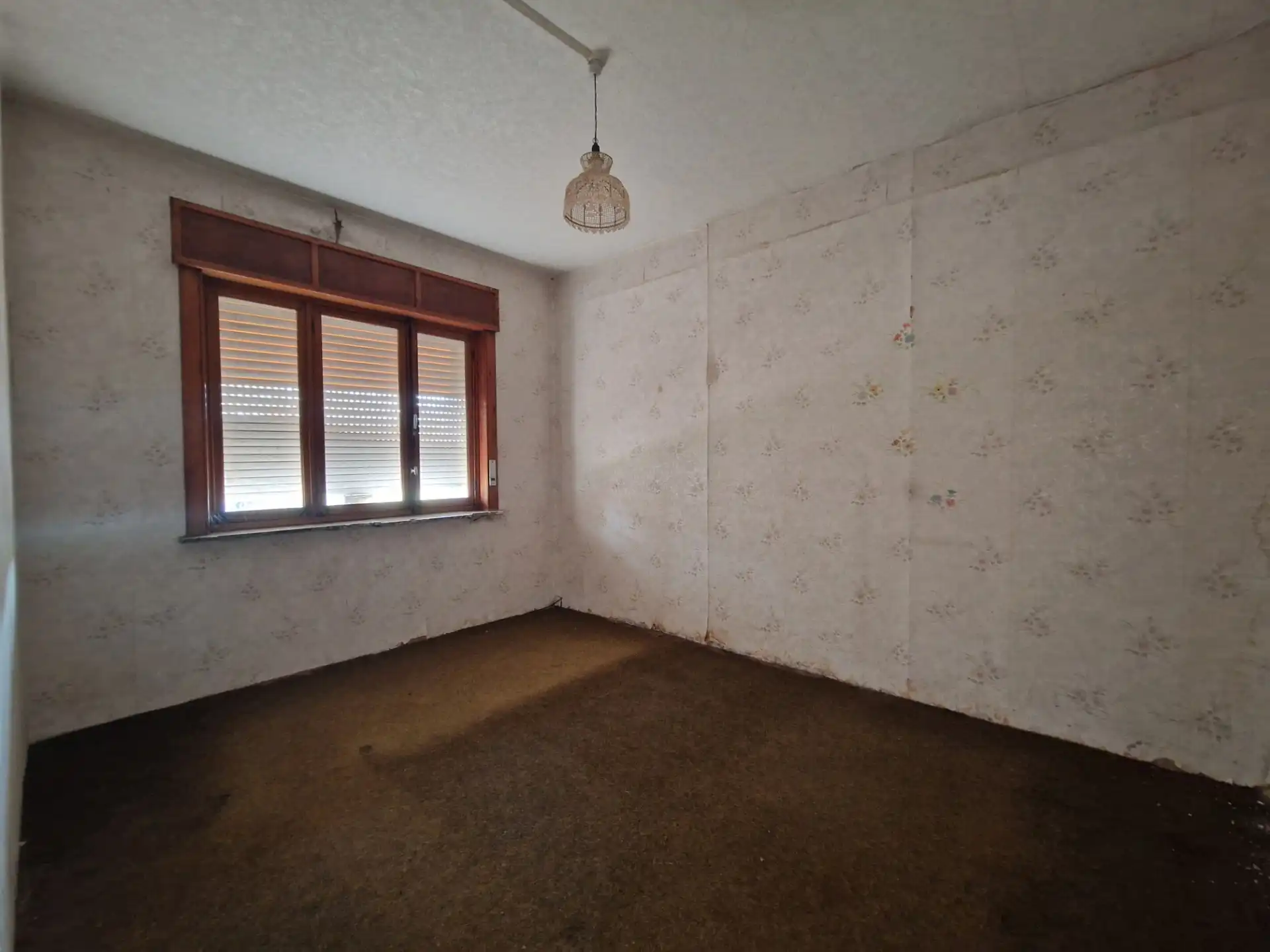 Ruime woning met veel potentieel te Werchter foto 4