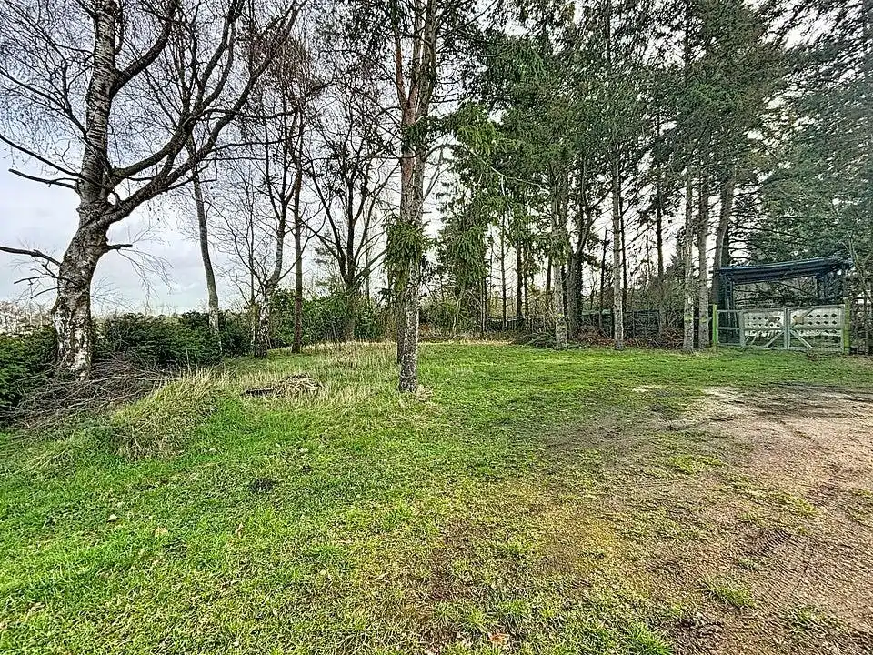 Commerciële grond te koop Cassiedreef 18 - 2990 Wuustwezel