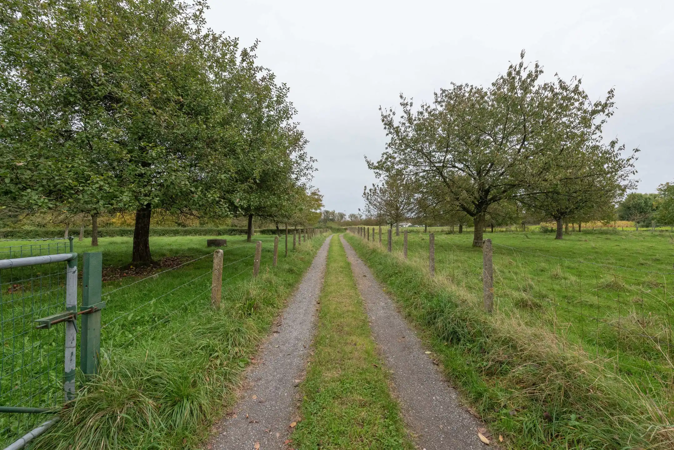OB op 22a36ca met mogelijkheid tot verkavelen foto 28