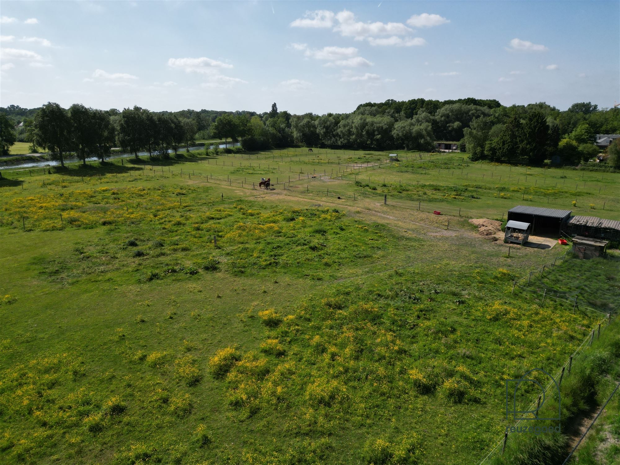 Landbouwgrond in Boortmeerbeek - paardenweide - 2,5 ha foto {{pictureIndex}}