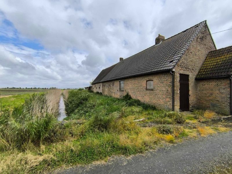 Hoeve met bijgebouwen foto 8