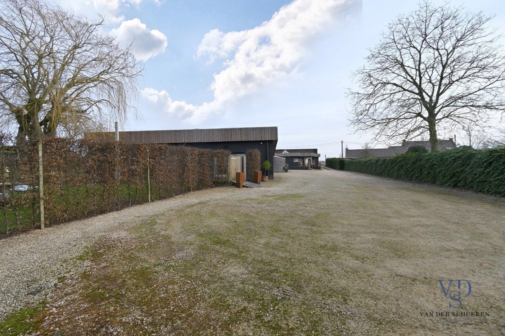 Ruime bungalow met bijgebouwen in Meilegem. foto 17