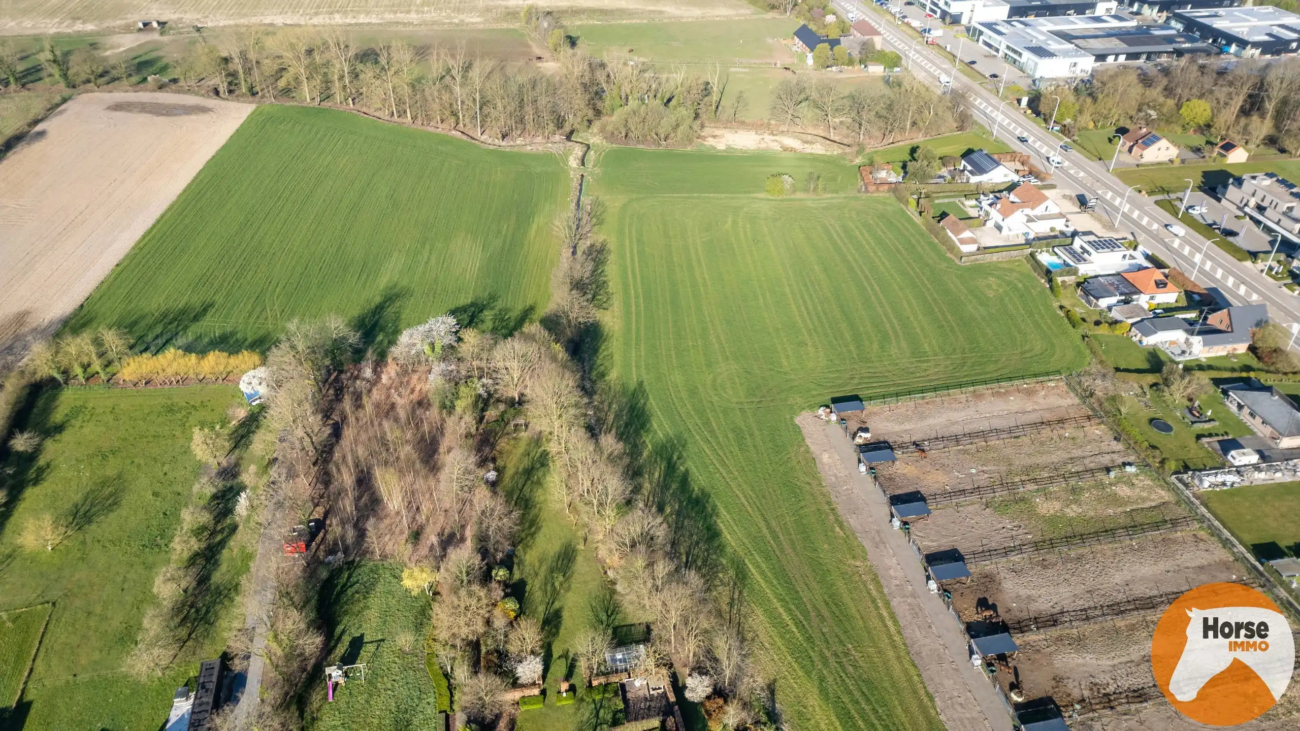 HASSELT-Mooi perceel bouwgrond voor open bebouwing en weide foto 7