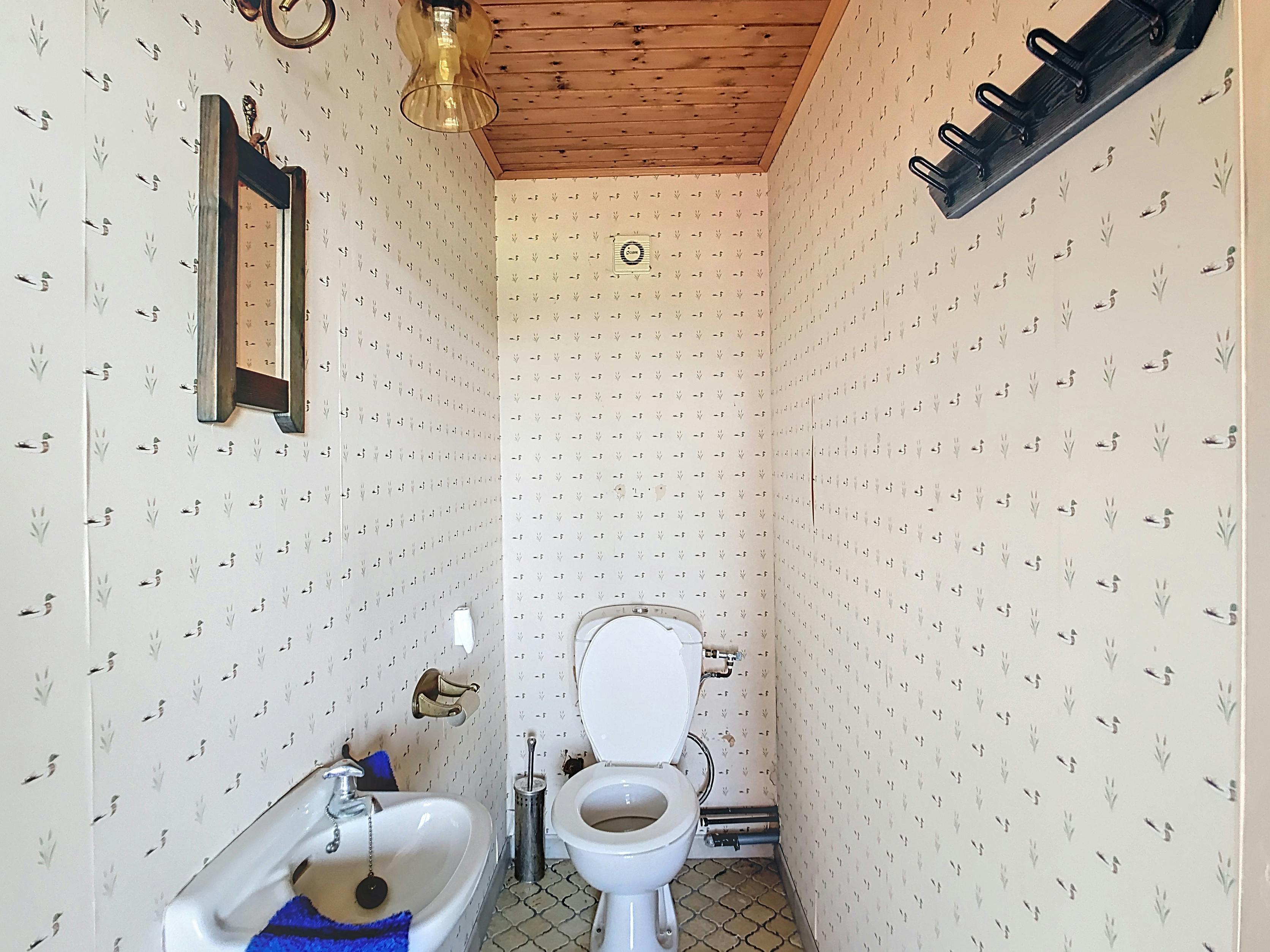 Rustig gelegen huis of vakantiewoning in groene omgeving foto 11