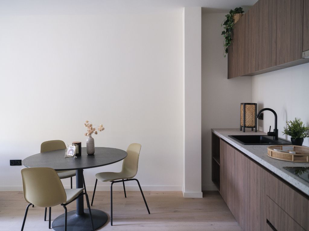 Gerenoveerd 1 slpk appartement met tuin nabij station Gent Sint-Pieters foto 5