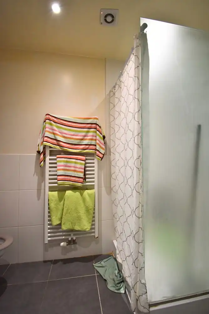 1 slaapkamer appartement te huur in Anderlecht foto 5