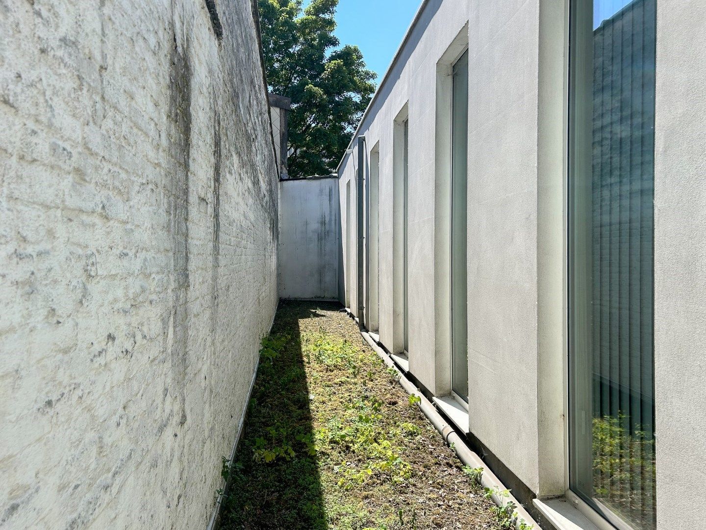 Amerikalei 185-189 foto 14