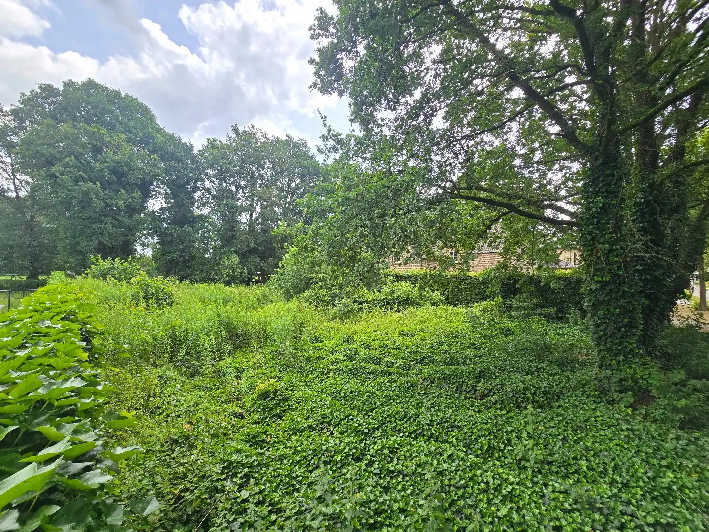 Bouwgrond voor OB, 9a16ca, met zicht op groen foto 9