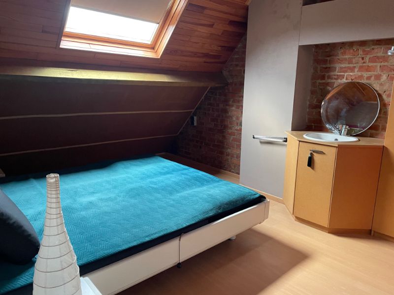 --- NIEUW --- Instapklare woning + appartement! foto 15