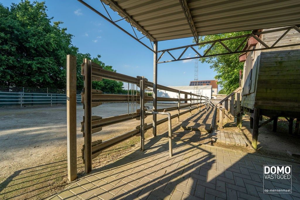 Ruime villa met paardenaccommodatie gelegen te Herk-de-Stad - EPC-label: B - Bewoonbare vloeroppervlakte: 296m² foto 29