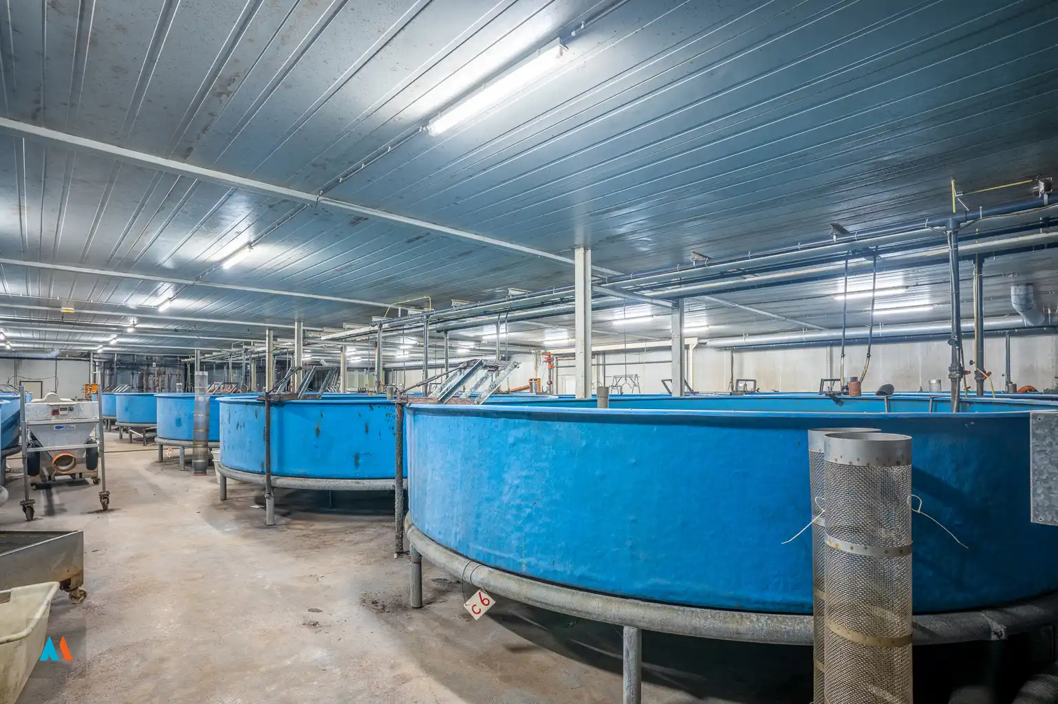 Unieke landbouwlocatie met bedrijfswoning en loods foto 22