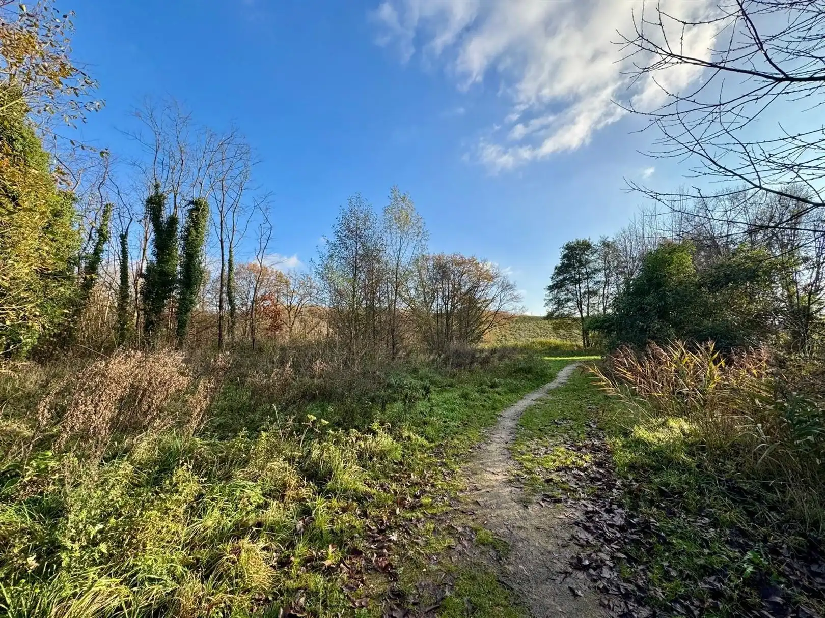 Half open bouwgrond in natuuromgeving foto 7