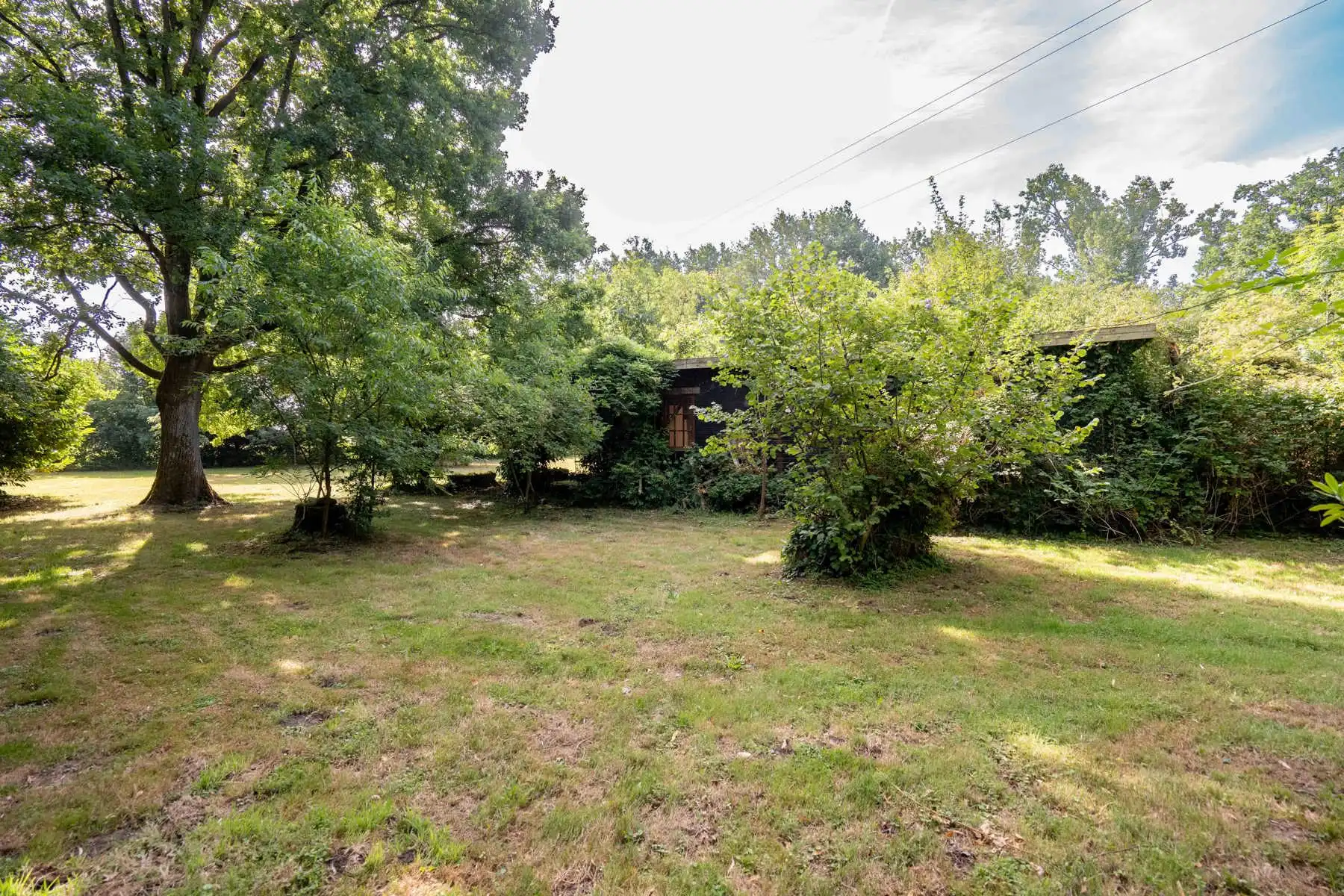 Unieke hoeve op domein van 1,5 ha – pure rust en natuurbeleving in het groen foto 14