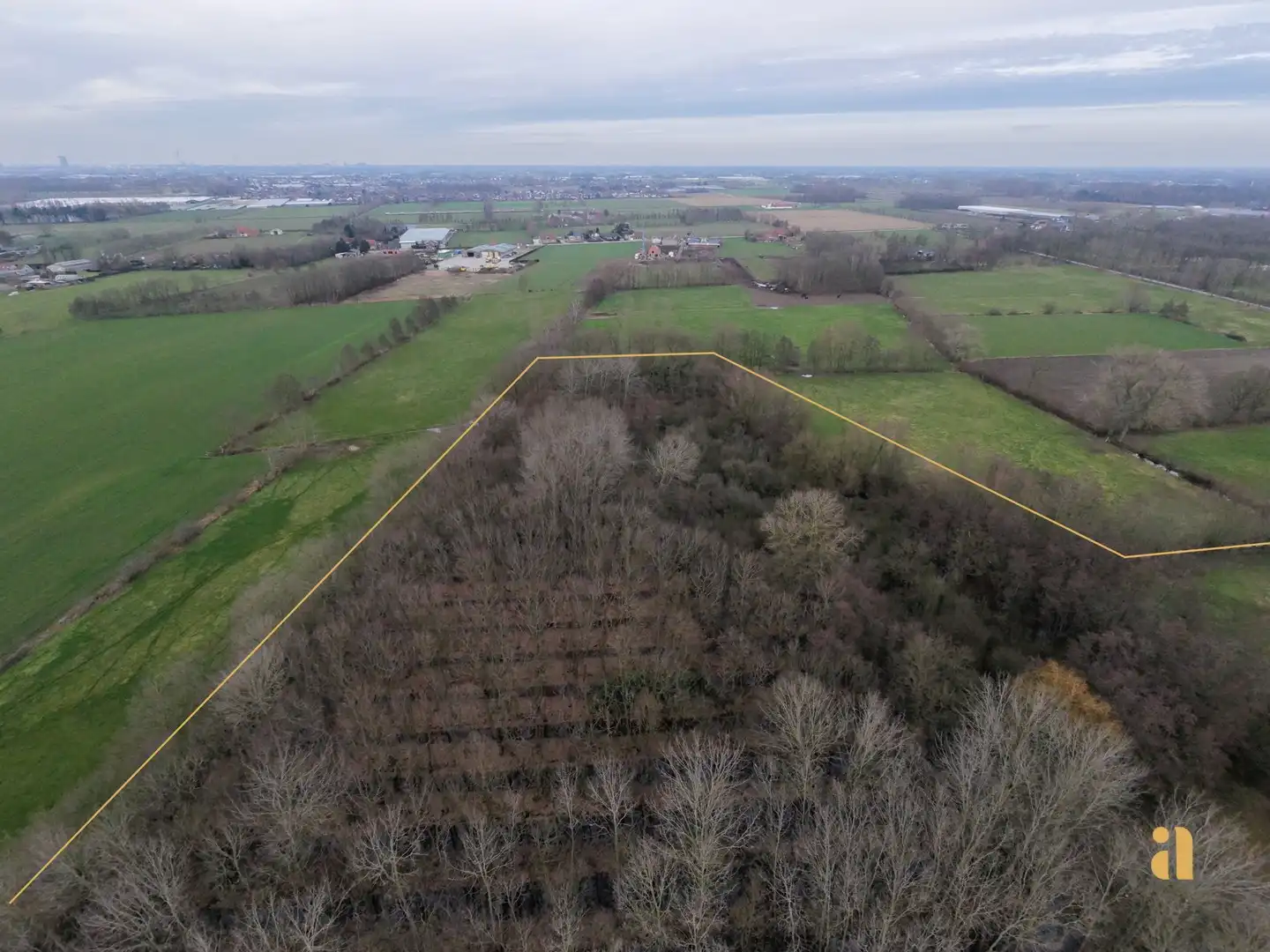 Bosperceel met aangrenzend weiland in landelijke omgeving foto 3