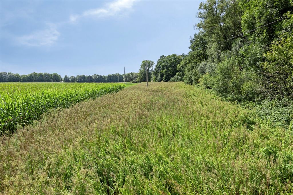 Op te frissen vakantiewoning te Bekkevoort!  foto 14