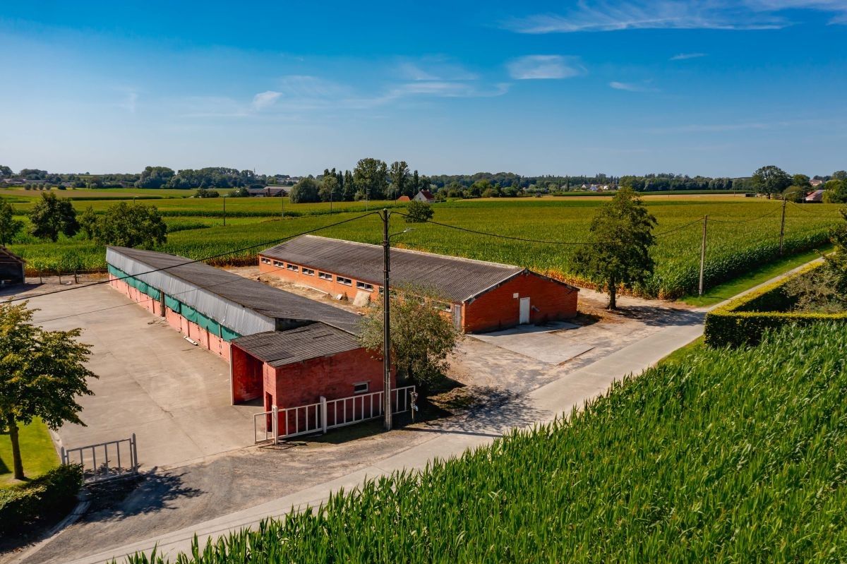 Prachtige hoeve te koop te Kruishoutem op 1,75 ha foto 8