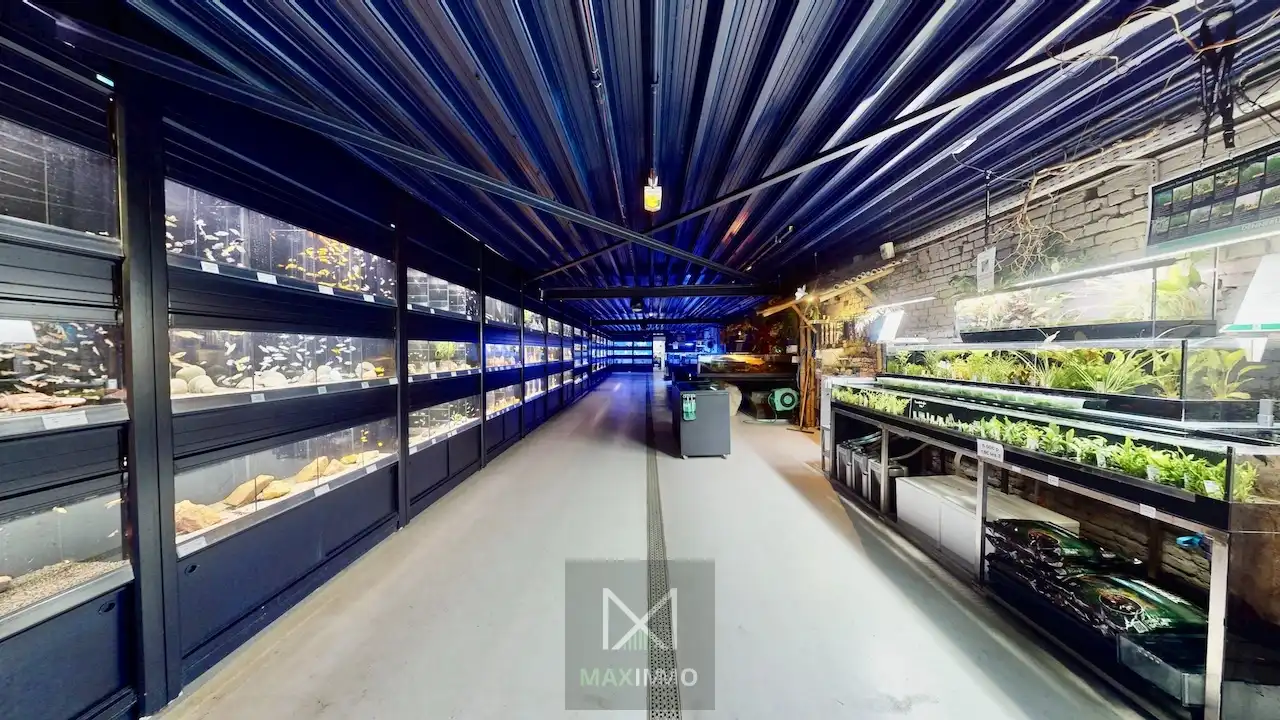 Het grootste handelspand van de Rijselstraat – meer dan 630 m² commerciële mogelijkheden foto 8