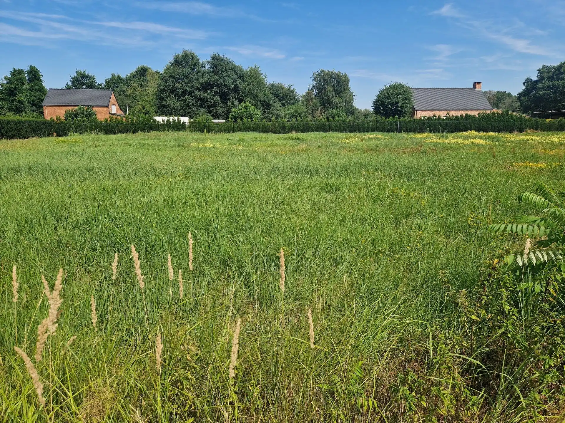 Mooie bouwgrond voor open bebouwing op 1035m² gelegen te Schriek foto {{pictureIndex}}