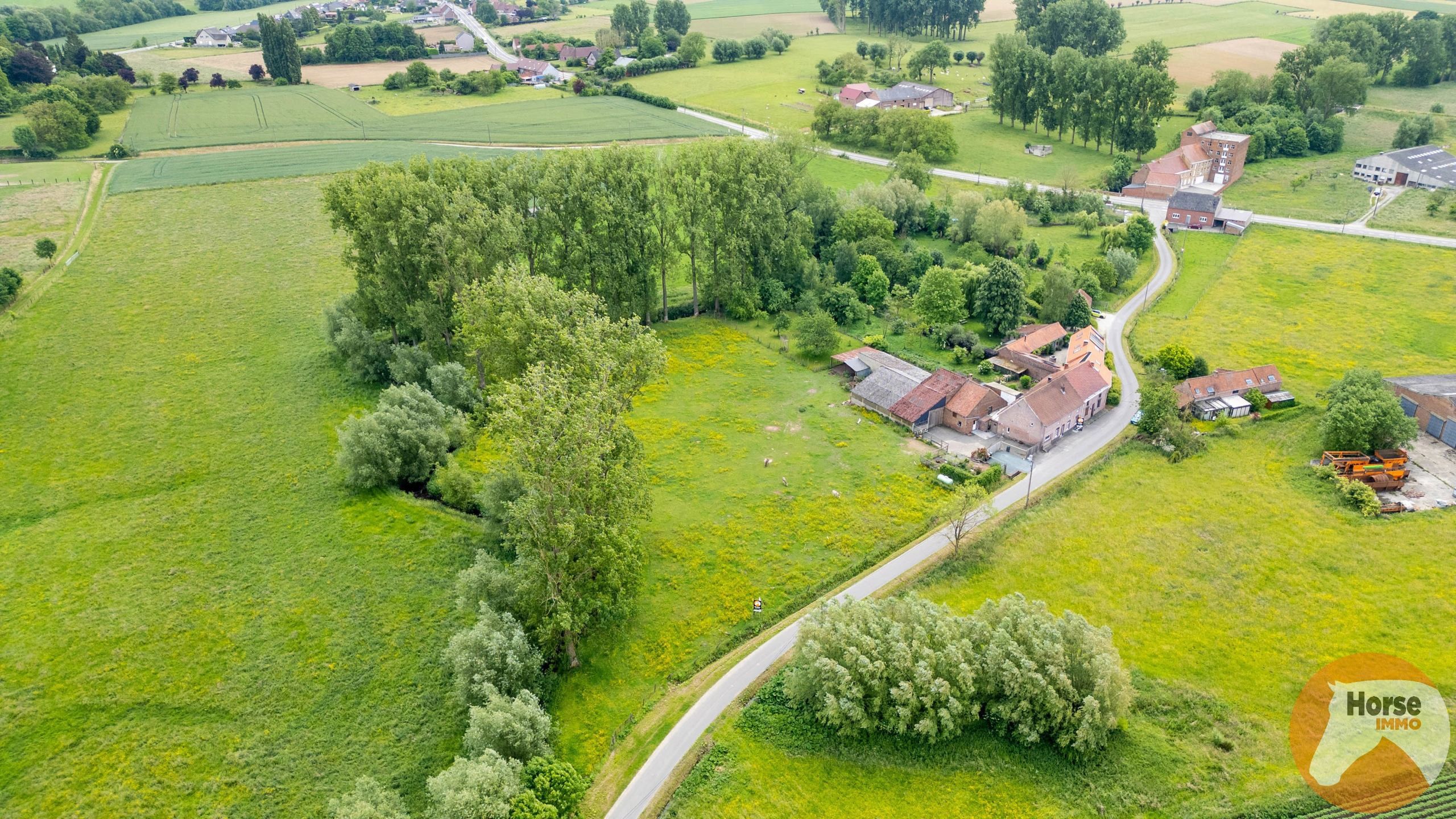 HERNE - Gerenoveerde woning met hangar op +-1ha foto 19