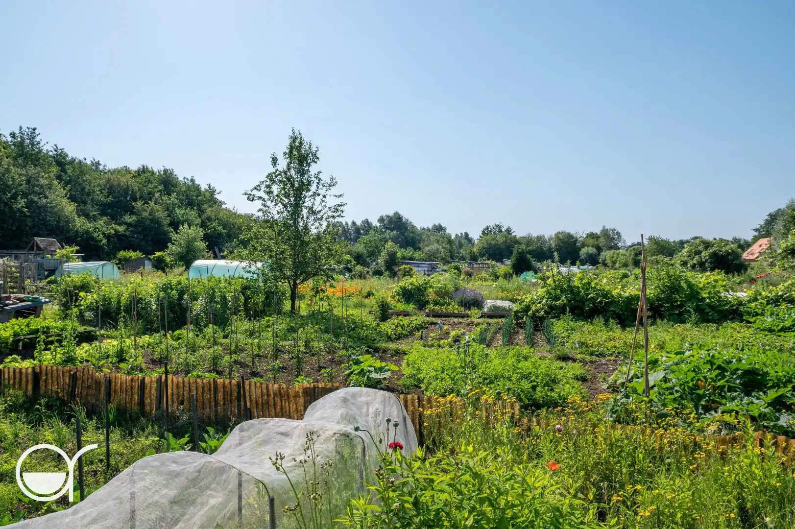 Landbouwgrond met 24 volkstuinen foto 4
