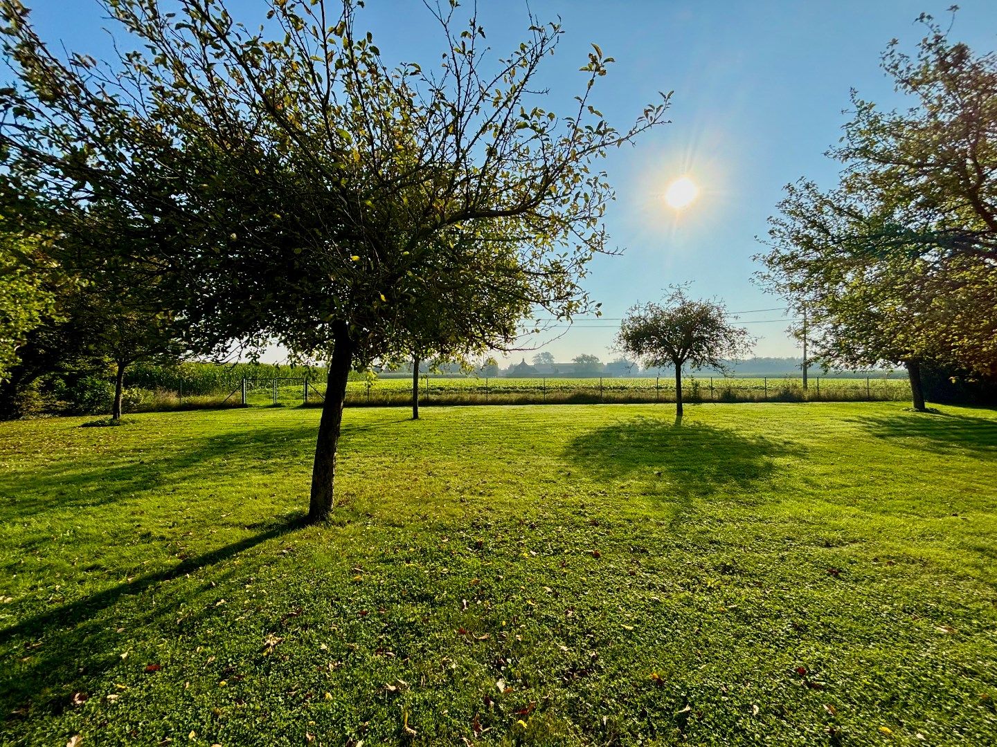 Goed onderhouden alleenstaande woning. Opp: 6800m². foto 30