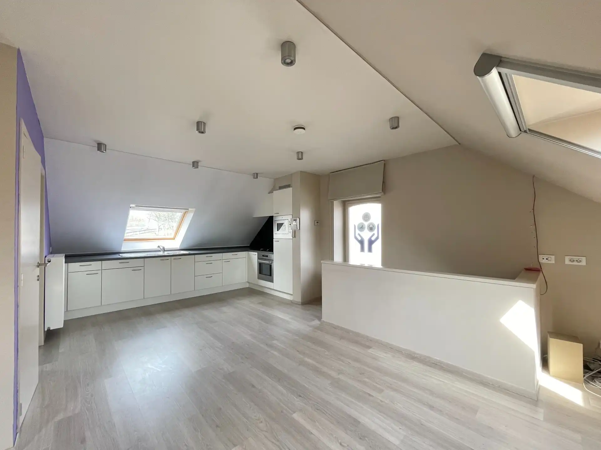 ENERGIEZUINIG GEBOUW MET 2 GROTE GARAGES - 553 M² foto 25