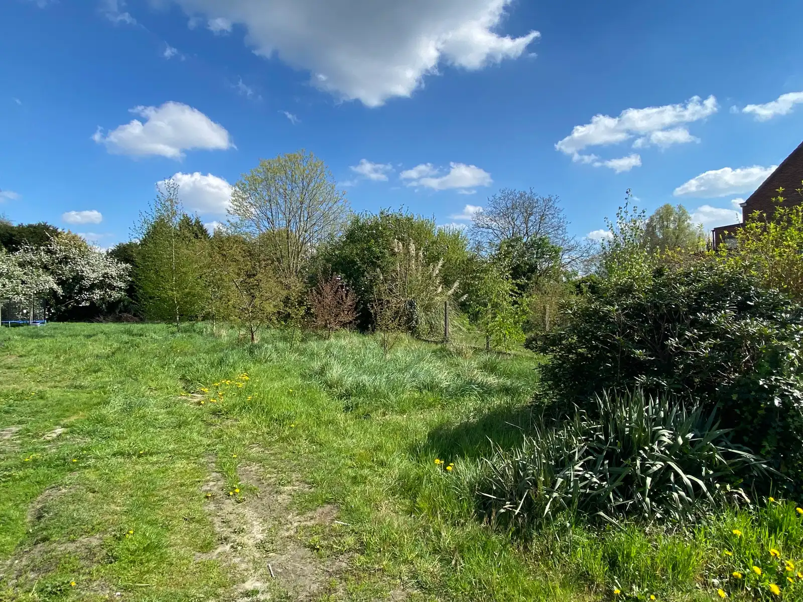 Ruime bouwgrond voor een gesloten bebouwing op top-locatie. foto 5