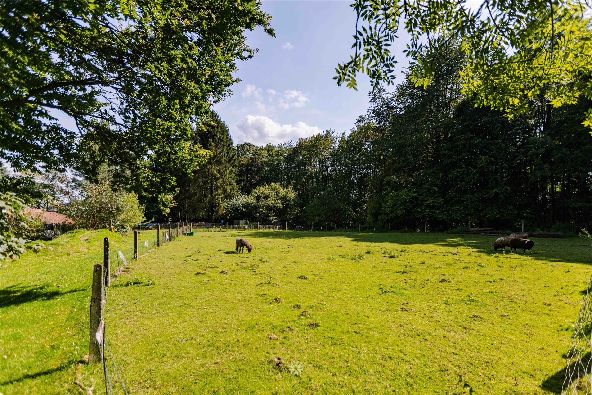 Uniek gelegen landgoed met gite midden de bossen foto 29