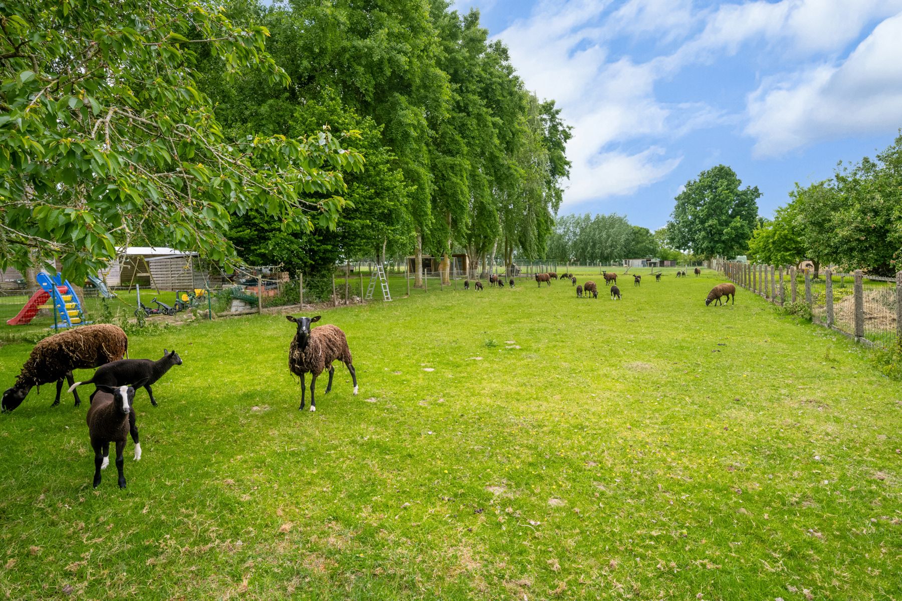 Charmante open bebouwing met riante tuin +  garage & oprit! foto 3