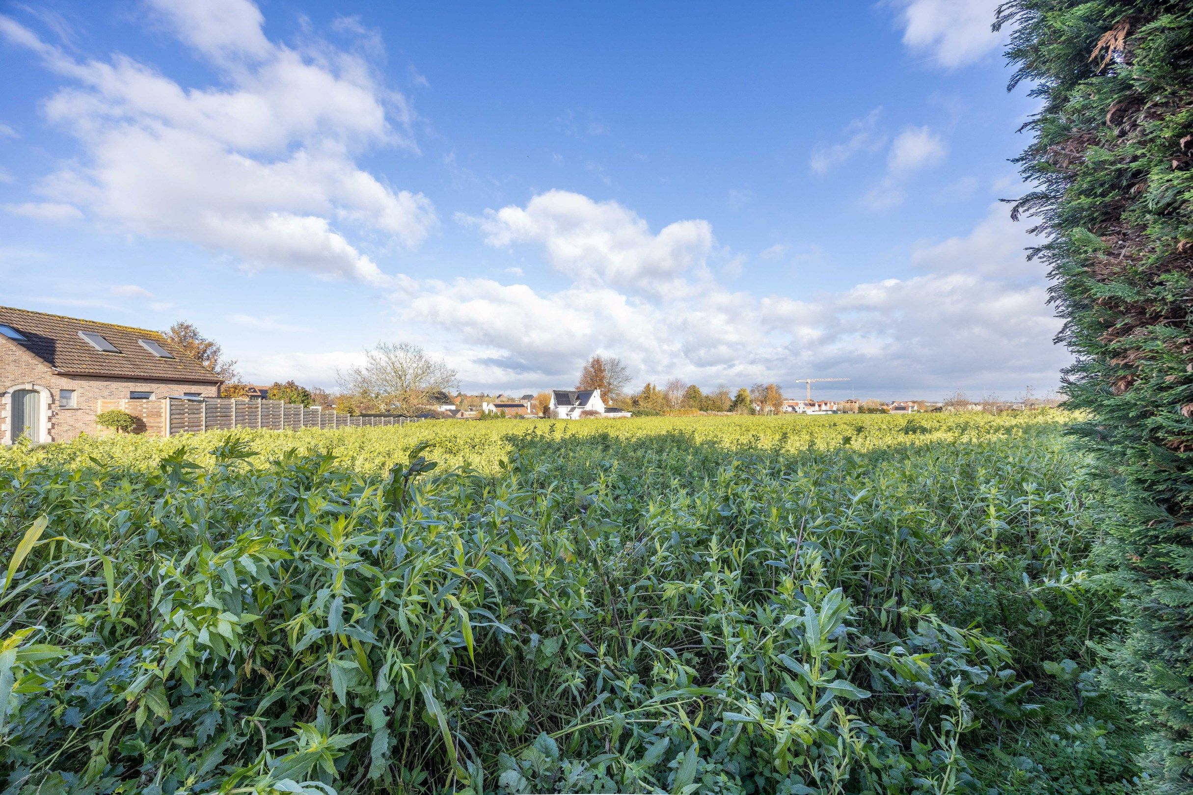 BOUWGROND MET VERZICHT foto 6