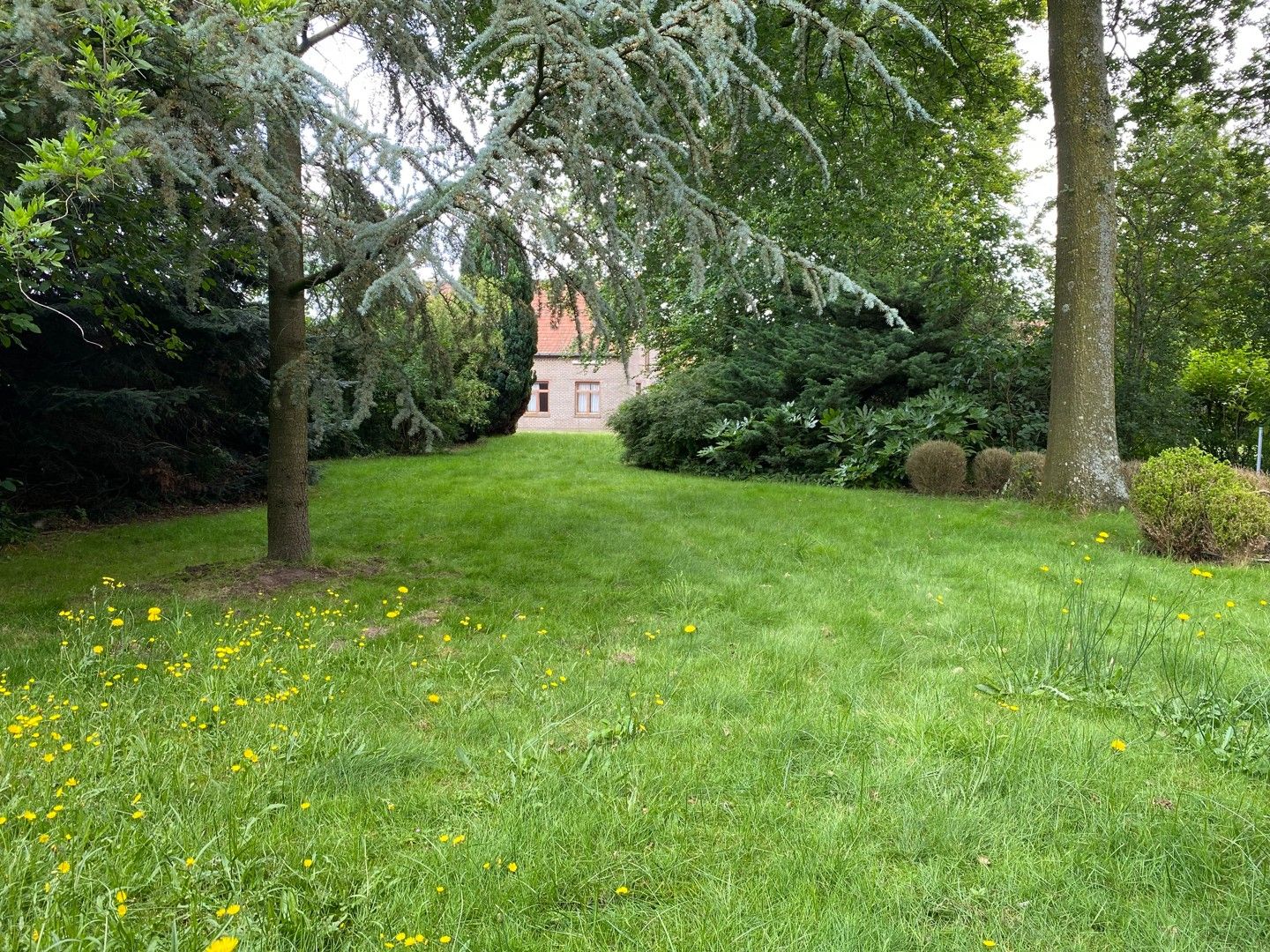 Hoeve met stallingen, bijhuis en grote schuur op een ruim perceel in Lembeke foto 15