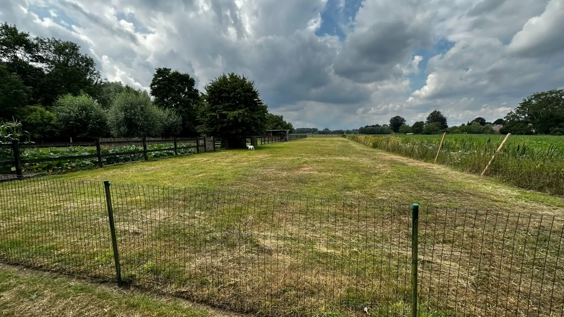 Ruime woning te Sinaai met weide foto 4