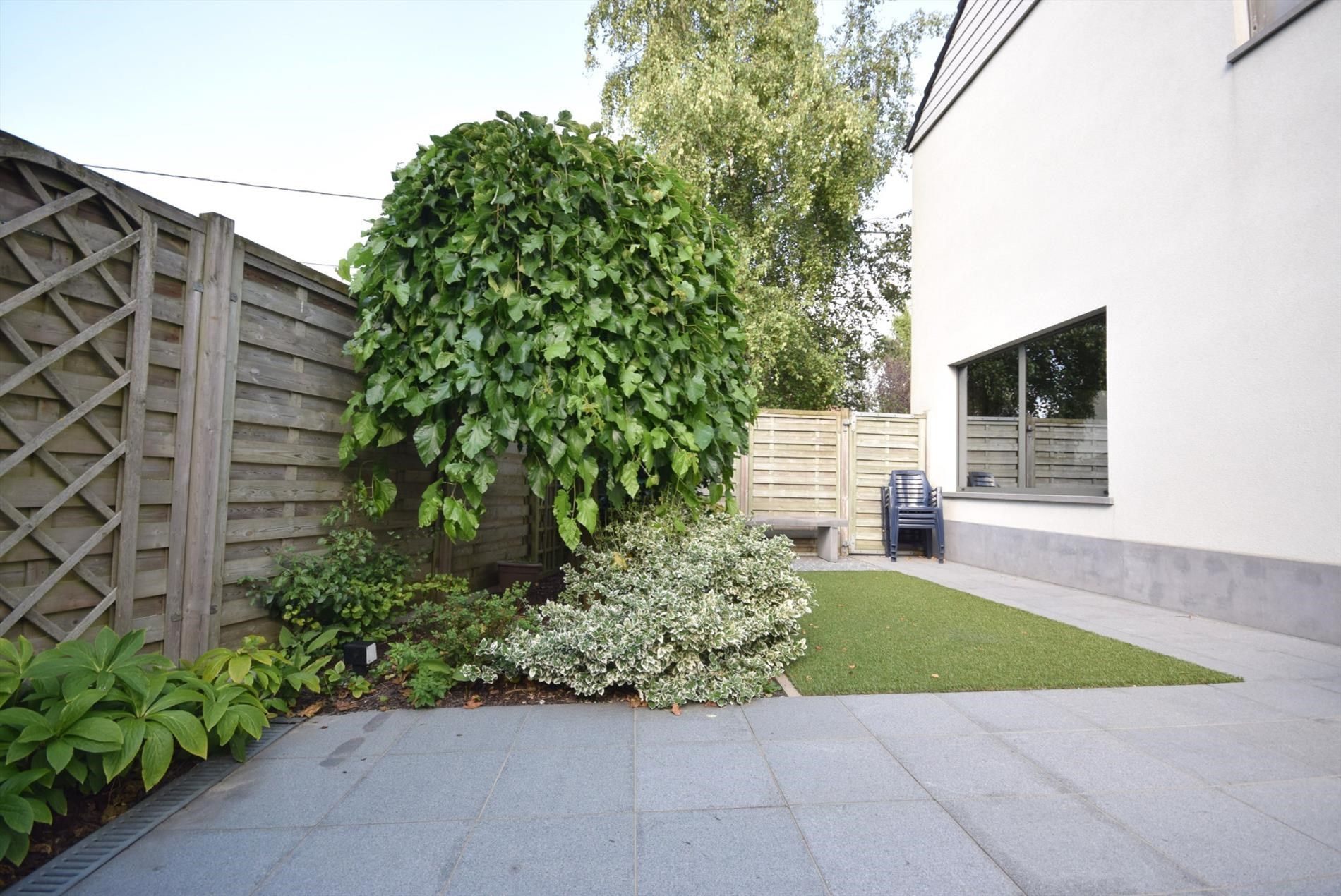 WONING MET ZONNIGE STADSTUIN foto 3