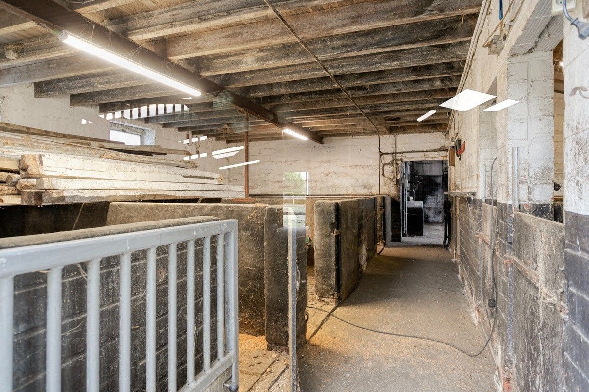 Ruime instapklare hoeve met diverse bijgebouwen foto 21